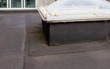 disadvantages of Alpraham flat roofs