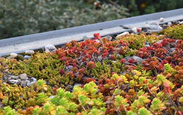 the cost of Alpraham green roof installation