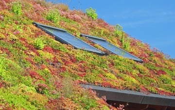 Alpraham living roof systems